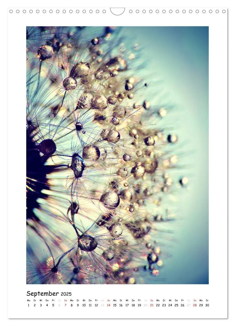 Bild: 9783457054536 | Die Pusteblume neu erleben (Wandkalender 2025 DIN A3 hoch),...