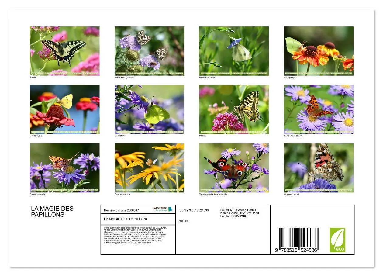 Bild: 9783516524536 | LA MAGIE DES PAPILLONS (Calendrier mural 2026 DIN A4 vertical),...