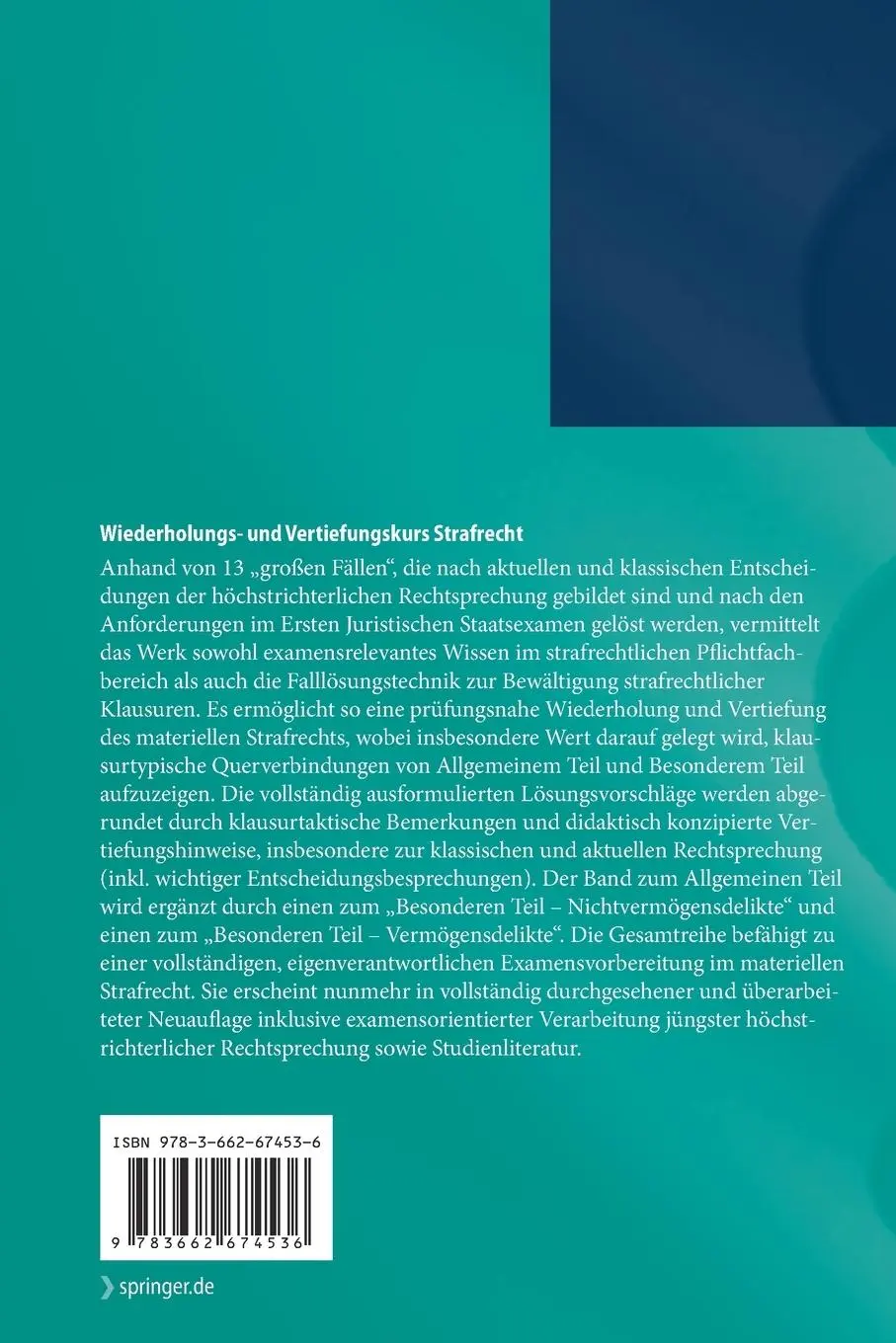 Rückseite: 9783662674536 | Wiederholungs- und Vertiefungskurs Strafrecht | Allgemeiner Teil | IX