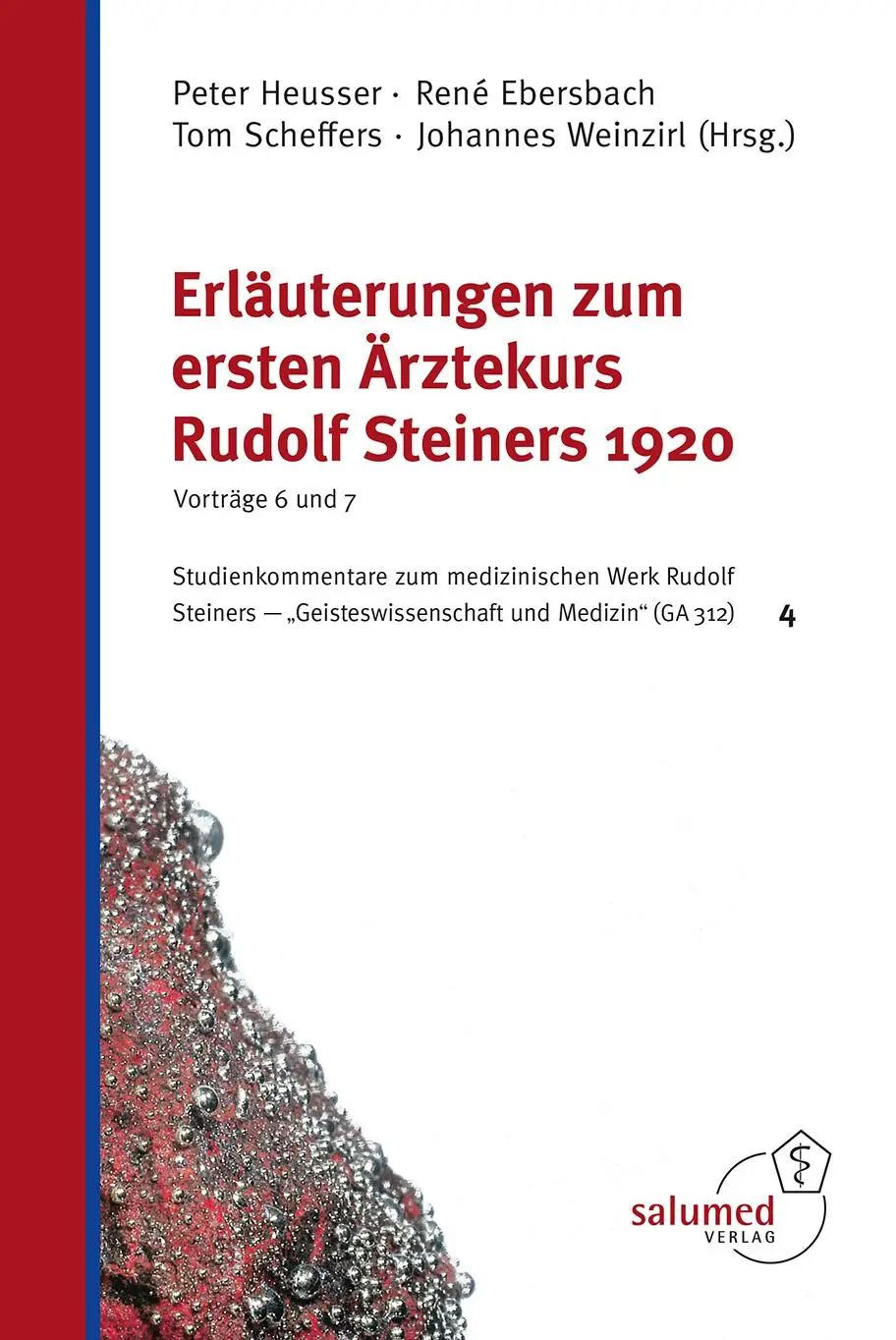 Cover: 9783928914536 | Erläuterungen zum ersten Ärztekurs Rudolf Steiners 1920 - Vorträge...