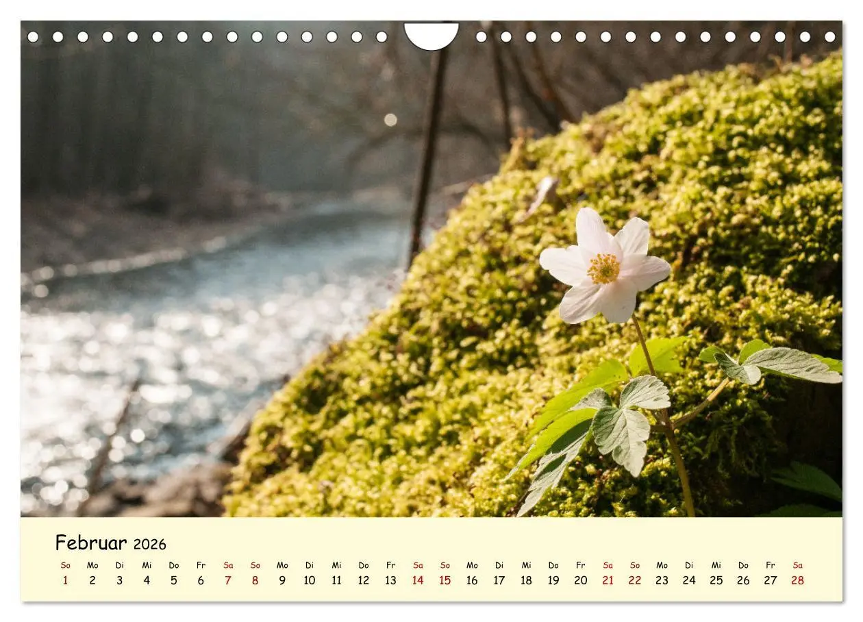 Bild: 9783457354636 | Müngstener Brücke - Landschaft rund um Solingen (Wandkalender 2026...