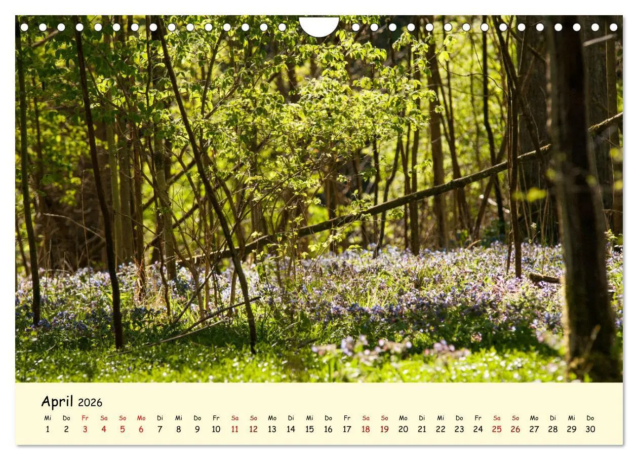 Bild: 9783457354636 | Müngstener Brücke - Landschaft rund um Solingen (Wandkalender 2026...