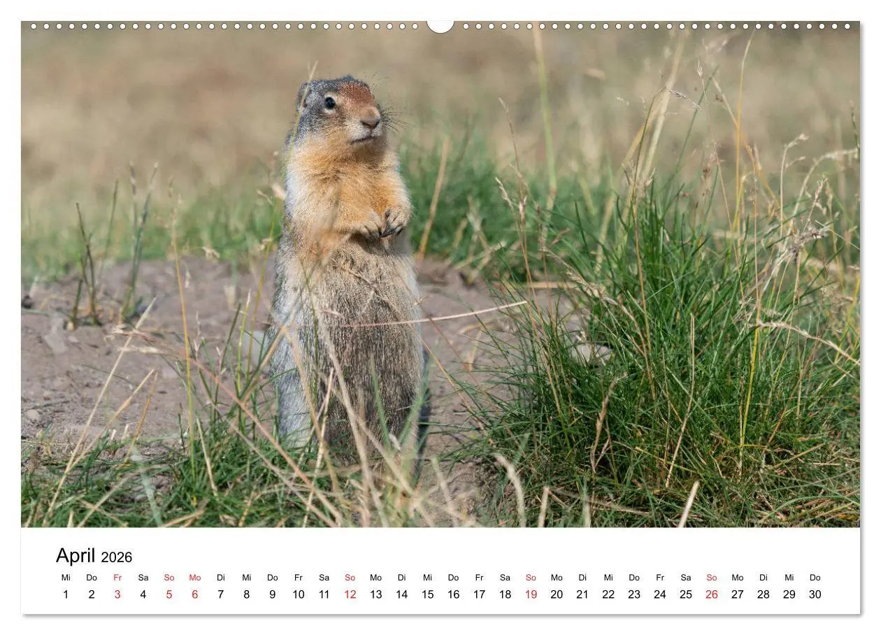 Bild: 9783457734636 | Fernweh Kanada - Naturerlebnis Rocky Mountains (Wandkalender 2026...