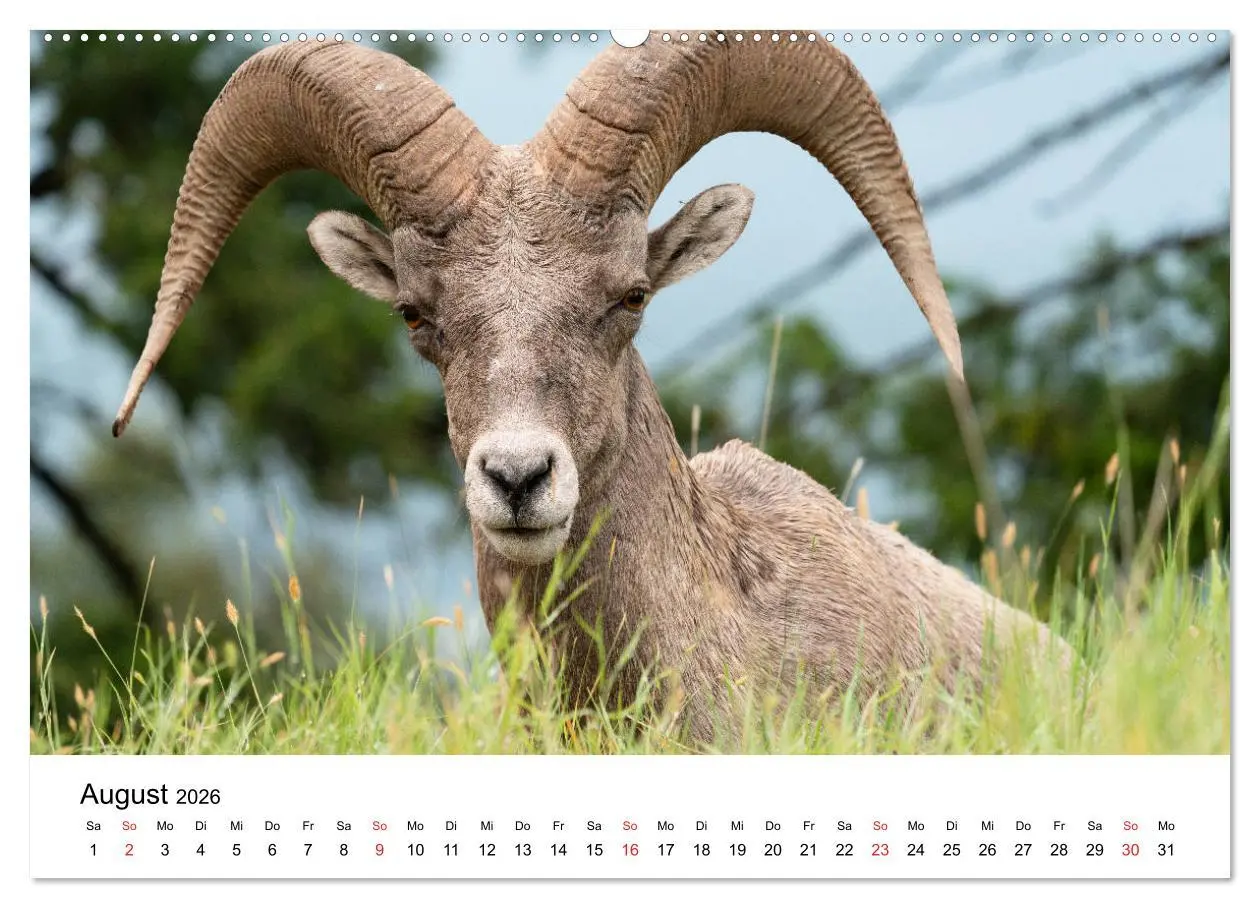 Bild: 9783457734636 | Fernweh Kanada - Naturerlebnis Rocky Mountains (Wandkalender 2026...