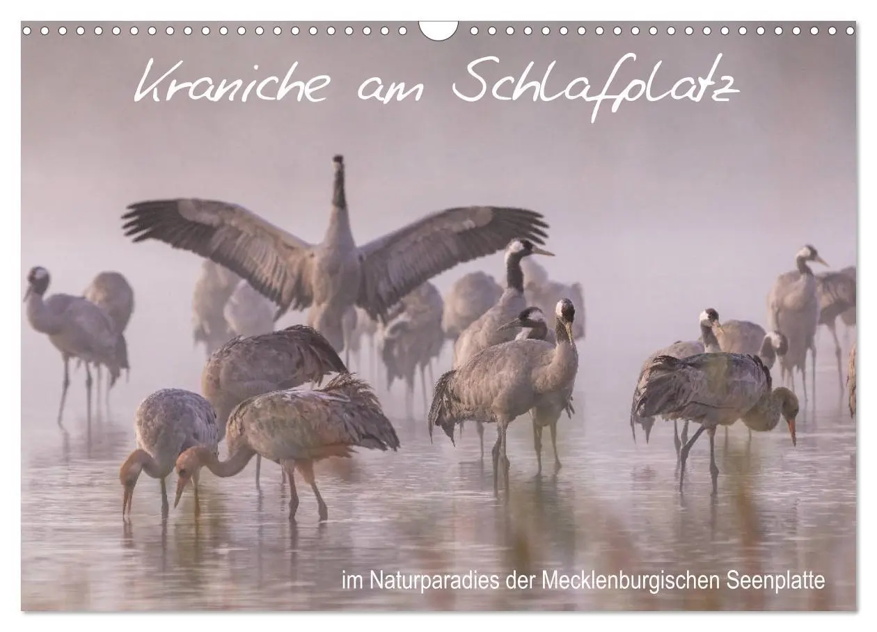 Cover: 9783457804636 | Kraniche am Schlafplatz - im Naturparadies der Mecklenburgischen...