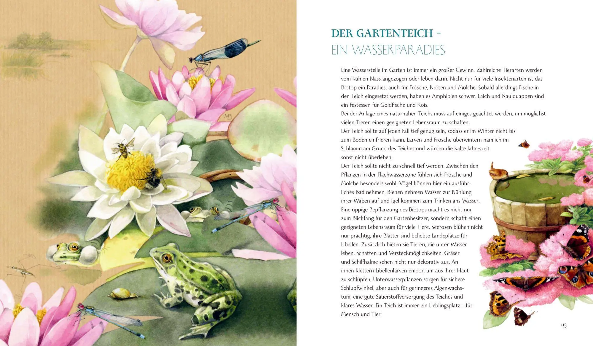 Bild: 9783649644736 | Schmetterling, Hummel und Maikäfer | Stefanie Zysk | Buch | 144 S.