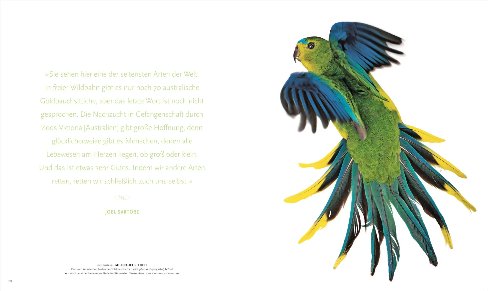 Bild: 9783866904736 | NATIONAL GEOGRAPHIC | Wie Sie die Welt noch nie gesehen haben | Buch