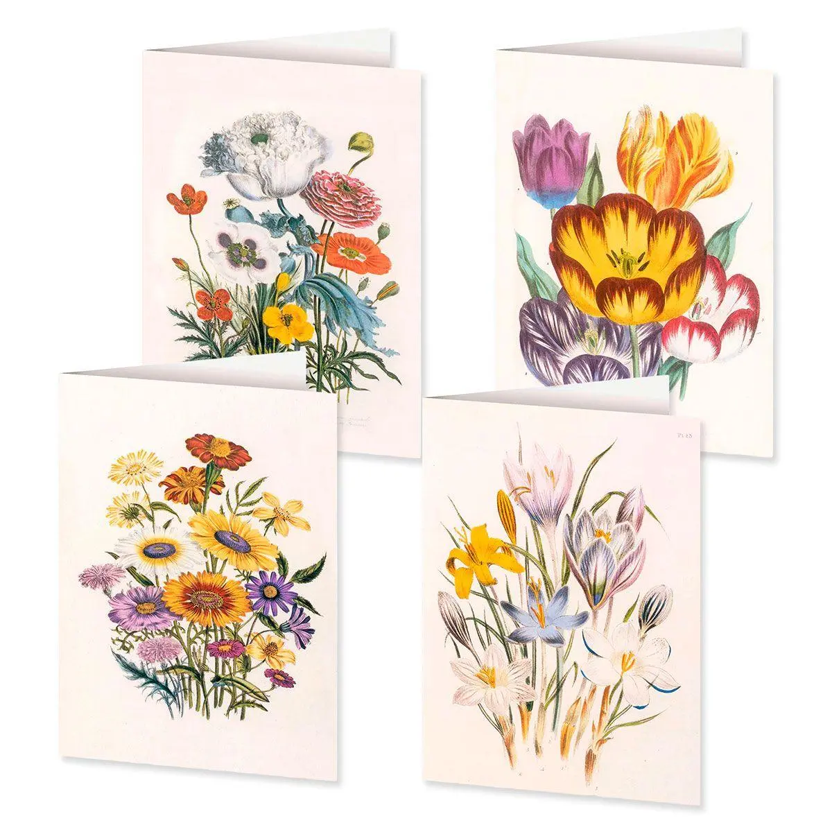 4er-Set Doppelkarten »Blumengrüße« mit Motiven von Jane C. Loudon