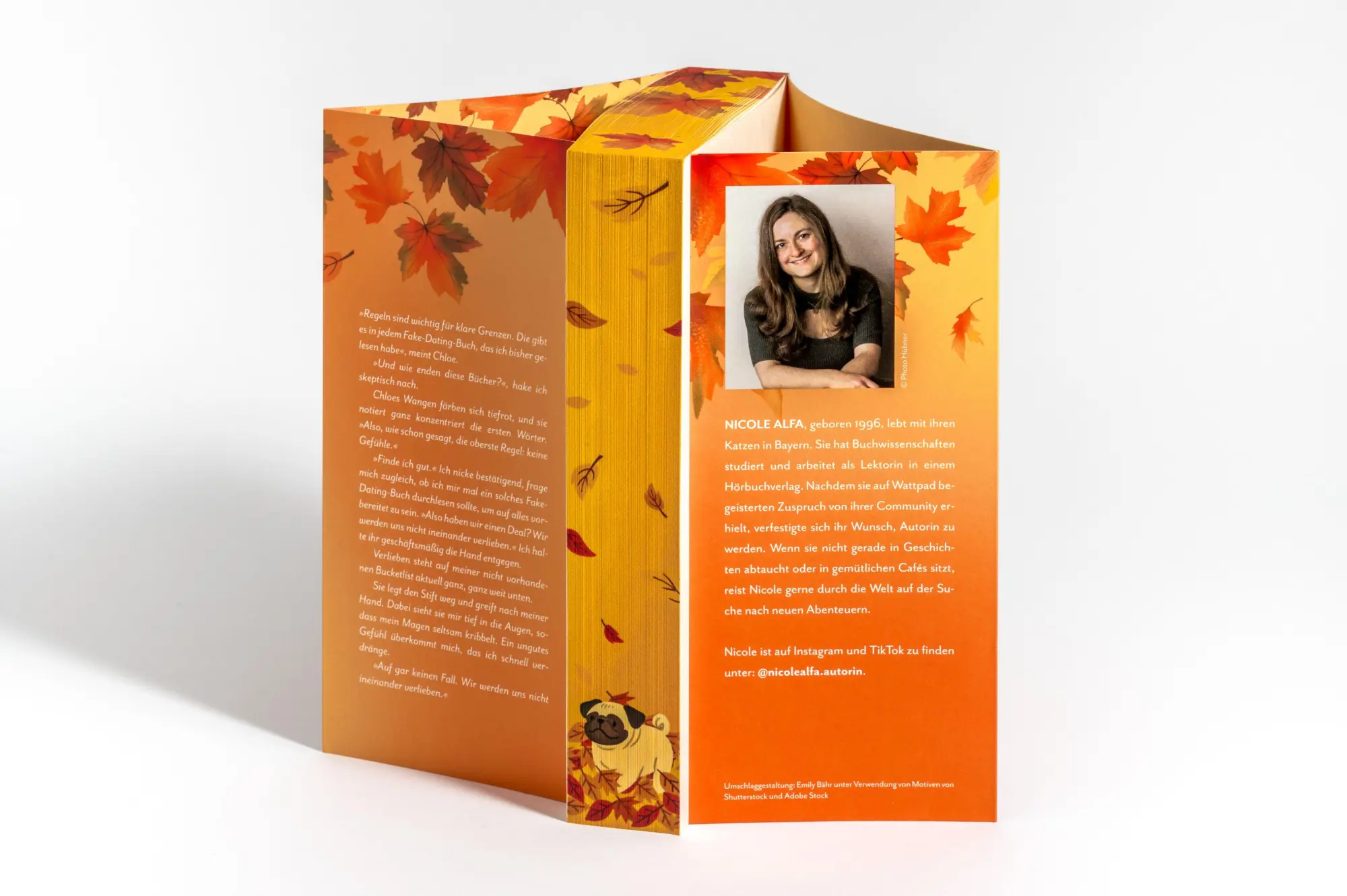 Bild: 9783453444836 | The Autumn Love Arrangement | Nicole Alfa | Taschenbuch | 416 S.