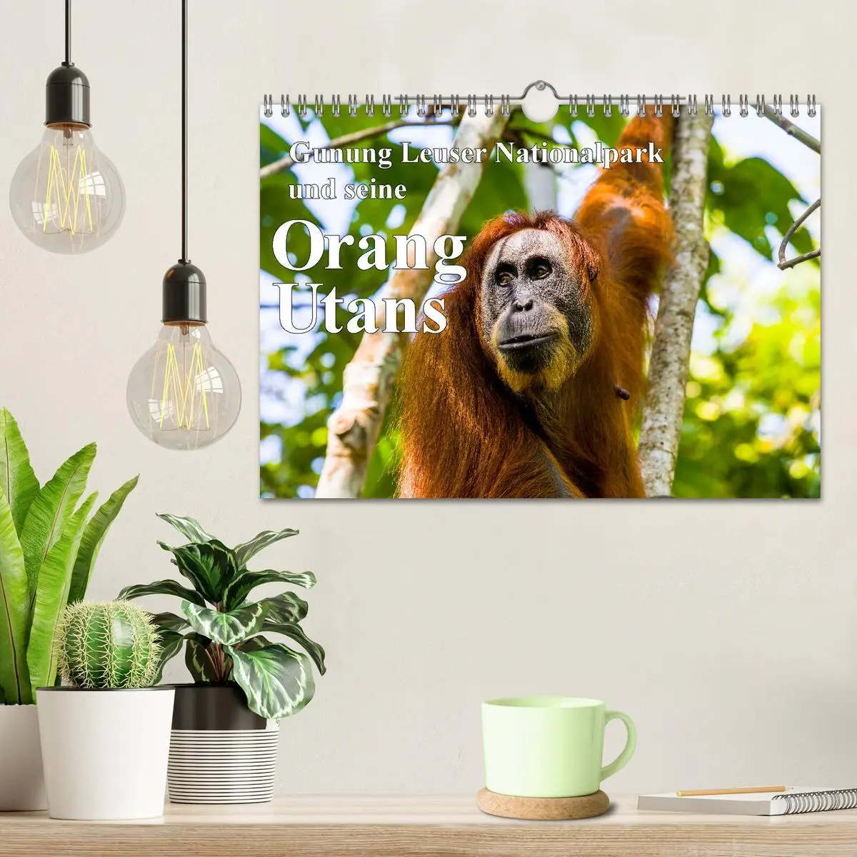 Bild: 9783457324936 | Gunung Leuser Nationalpark und seine Orang Utans (Wandkalender 2026...