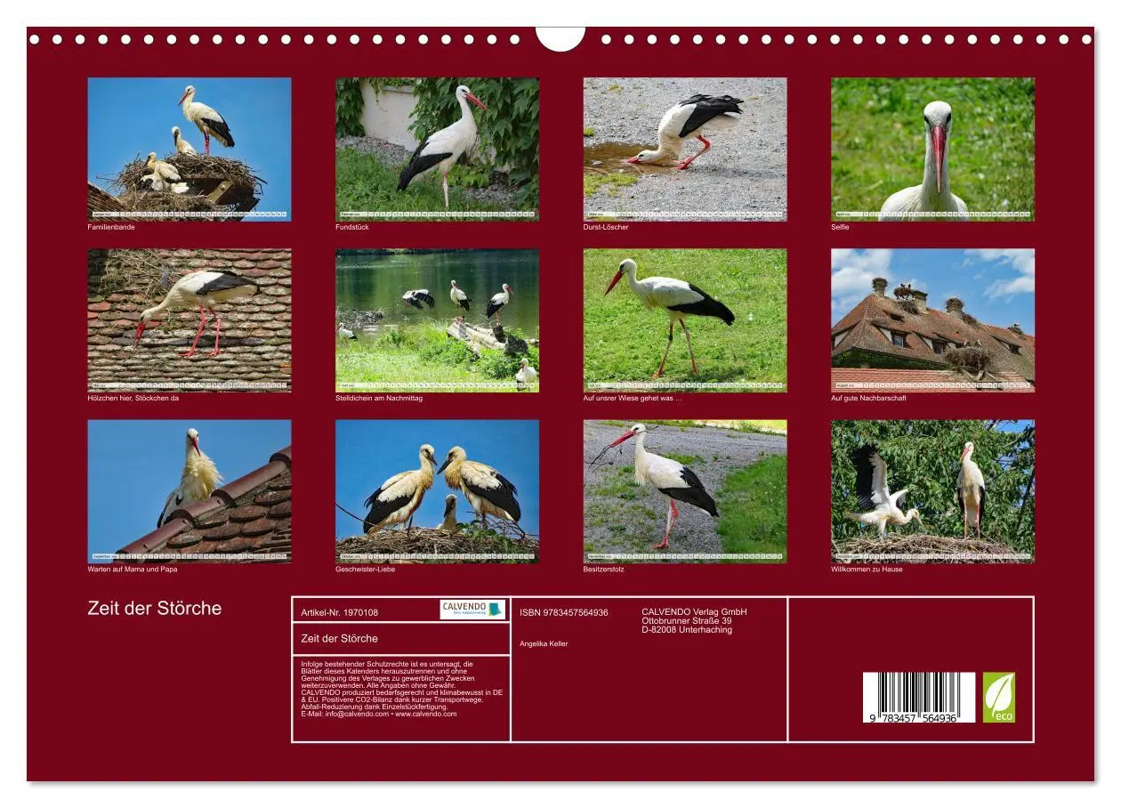 Bild: 9783457564936 | Zeit der Störche (Wandkalender 2026 DIN A3 quer), CALVENDO...