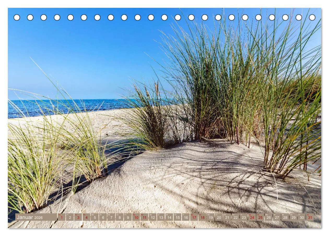 Bild: 9783457634936 | Inselliebe Langeoog (Tischkalender 2026 DIN A5 quer), CALVENDO...