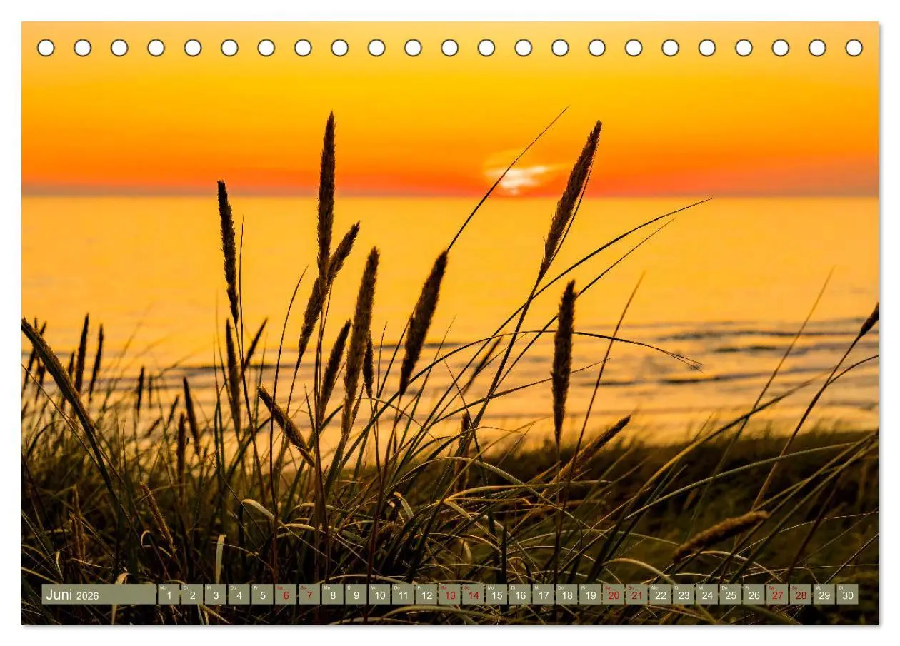 Bild: 9783457634936 | Inselliebe Langeoog (Tischkalender 2026 DIN A5 quer), CALVENDO...