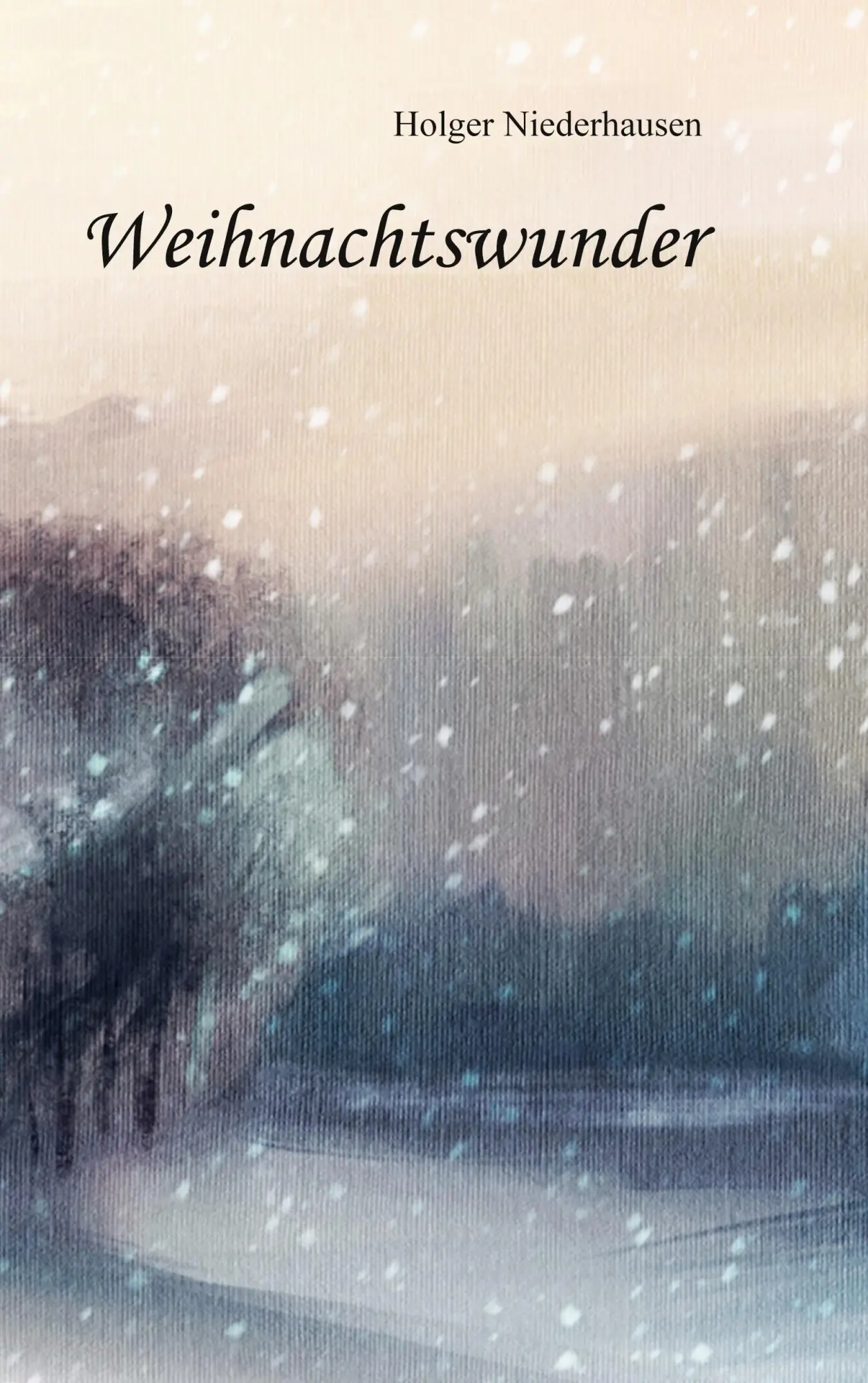 Cover: 9783755755036 | Weihnachtswunder | Holger Niederhausen | Taschenbuch | Paperback