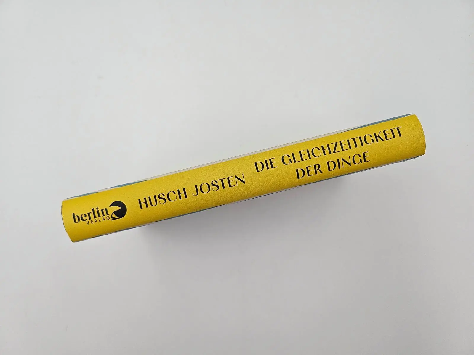 Bild: 9783827015136 | Die Gleichzeitigkeit der Dinge | Husch Josten | Buch | 224 S. | 2024