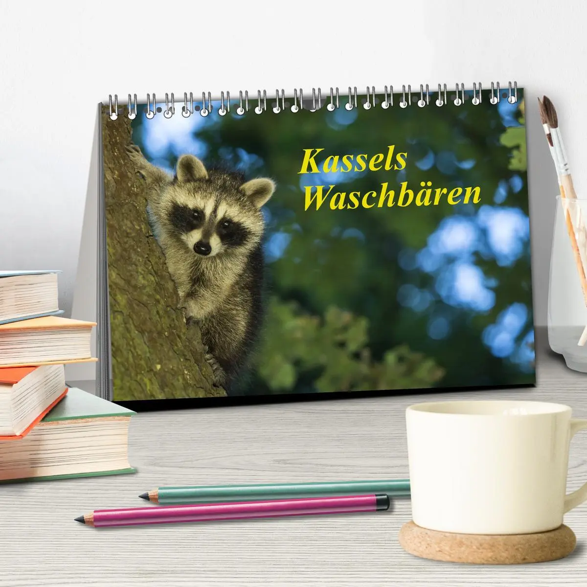 Bild: 9783457675236 | Kassels Waschbären (Tischkalender 2026 DIN A5 quer), CALVENDO...