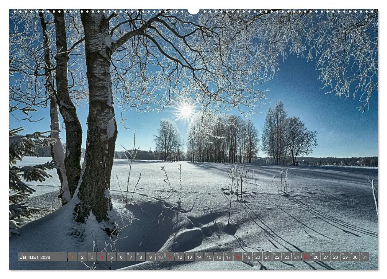 Bild: 9783516075236 | Vogtland - Impressionen (Wandkalender 2026 DIN A2 quer), CALVENDO...