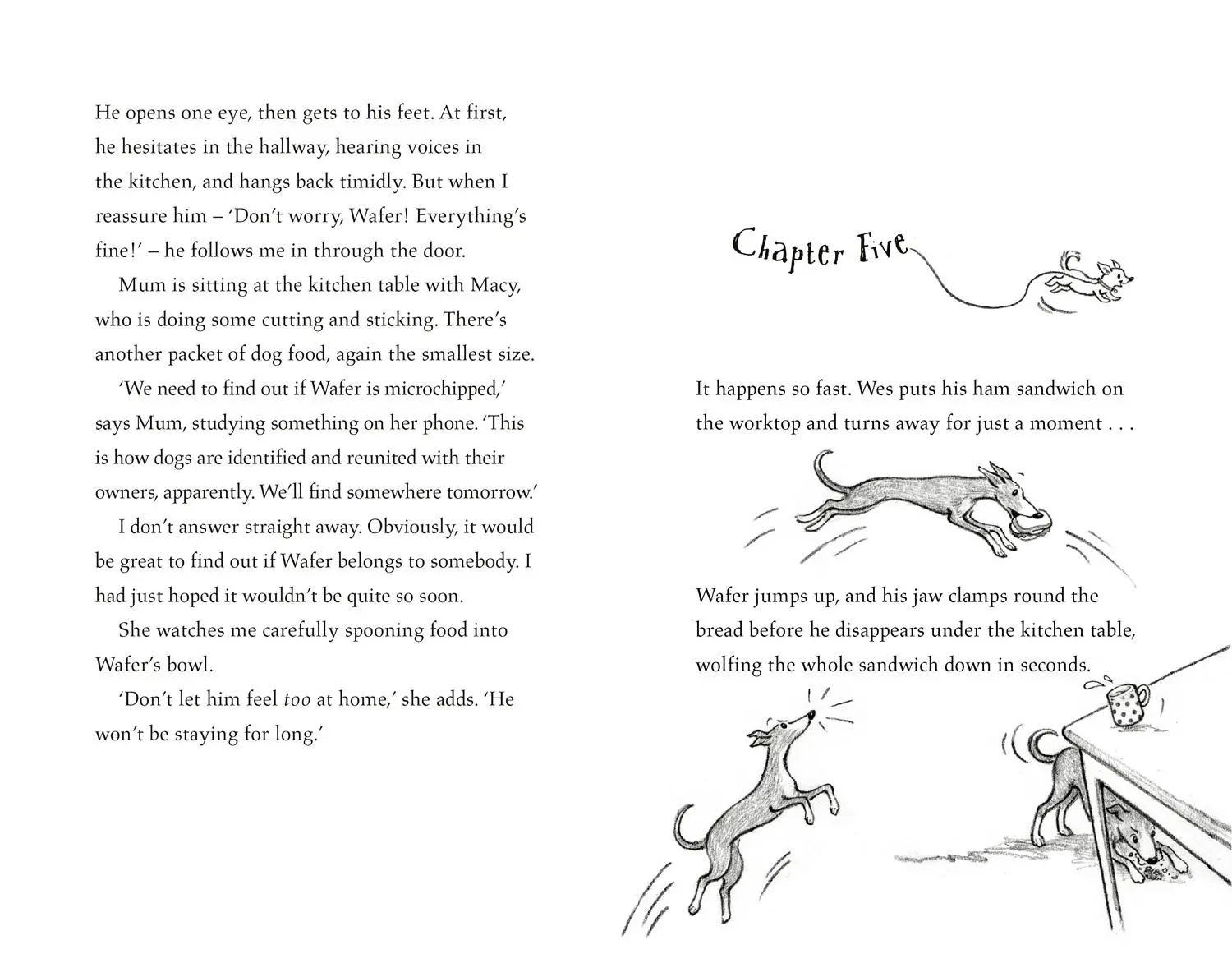 Bild: 9780008565336 | The Newshound | Clara Vulliamy | Taschenbuch | 128 S. | Englisch