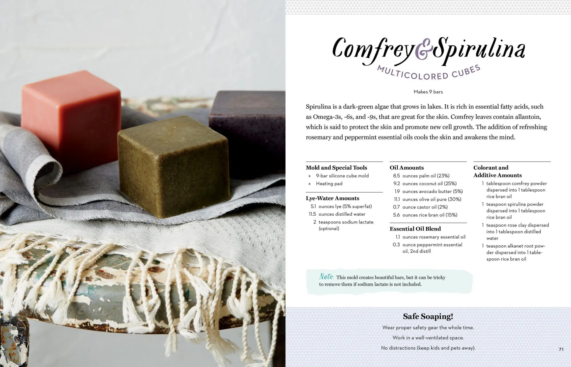 Bild: 9781612125336 | Pure Soapmaking | How to Create Nourishing, Natural Skin Care Soaps