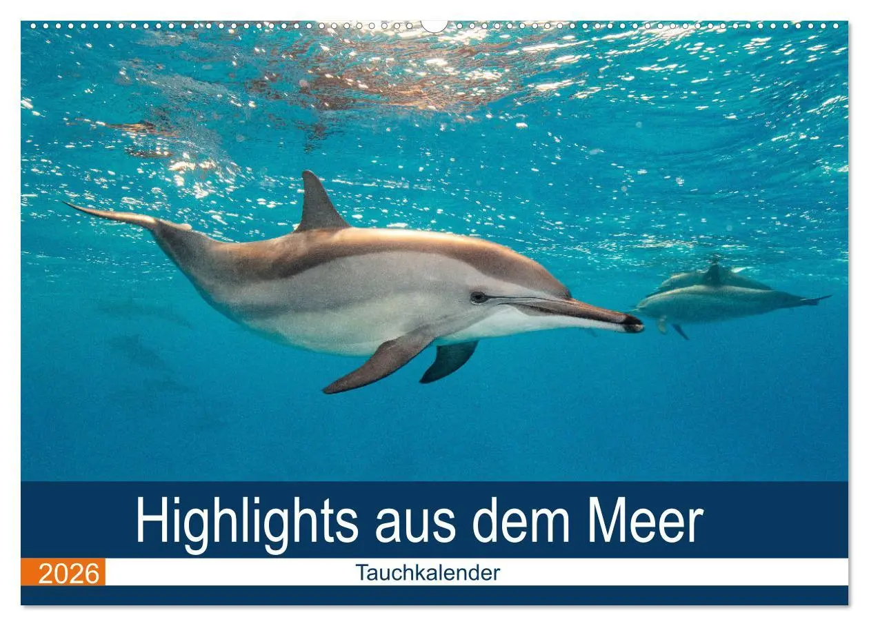 Cover: 9783516065336 | Highlights aus dem Meer - Tauchkalender (Wandkalender 2026 DIN A2...