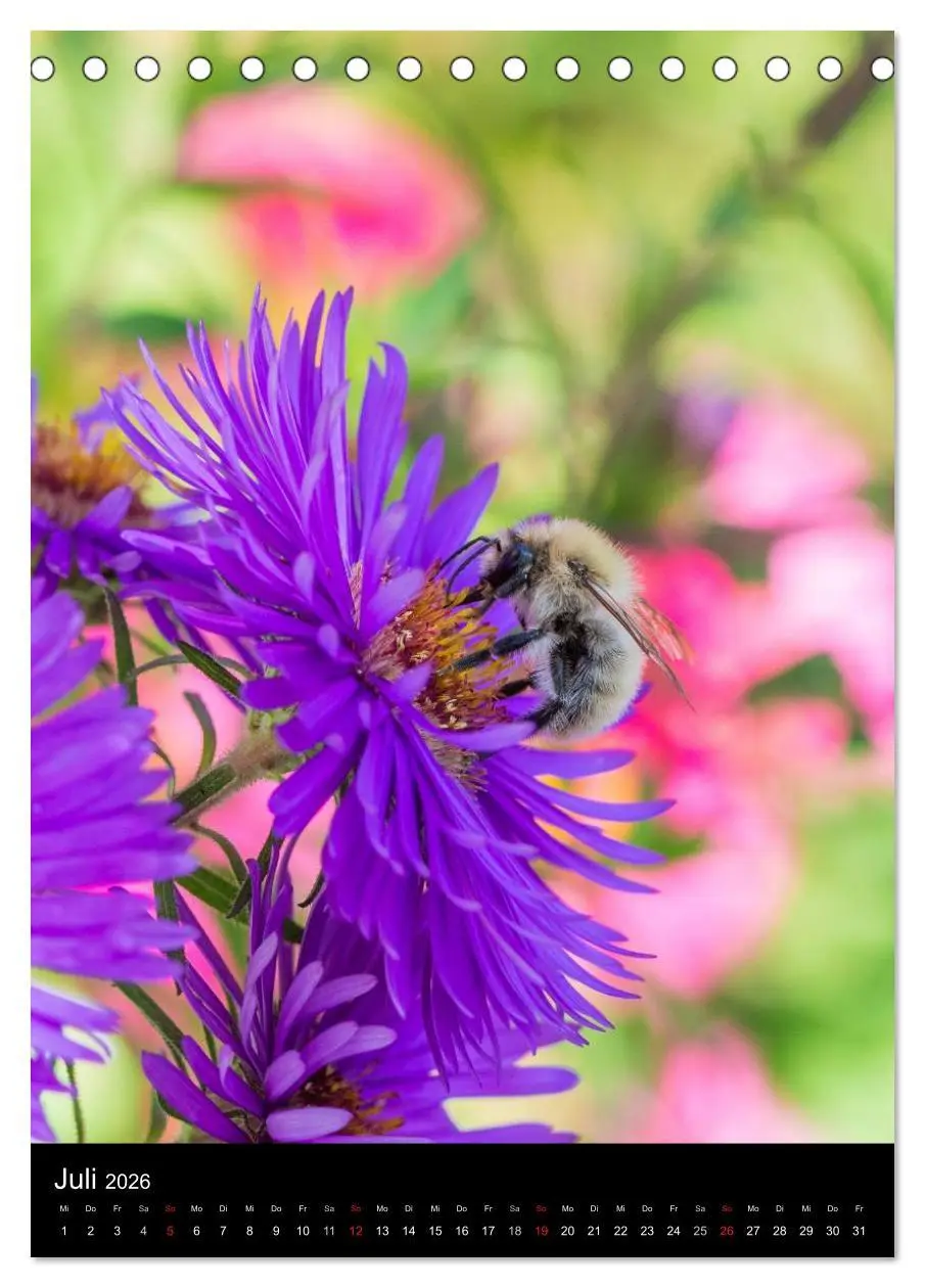 Bild: 9783516445336 | Bienen und Hummeln (Tischkalender 2026 DIN A5 hoch), CALVENDO...