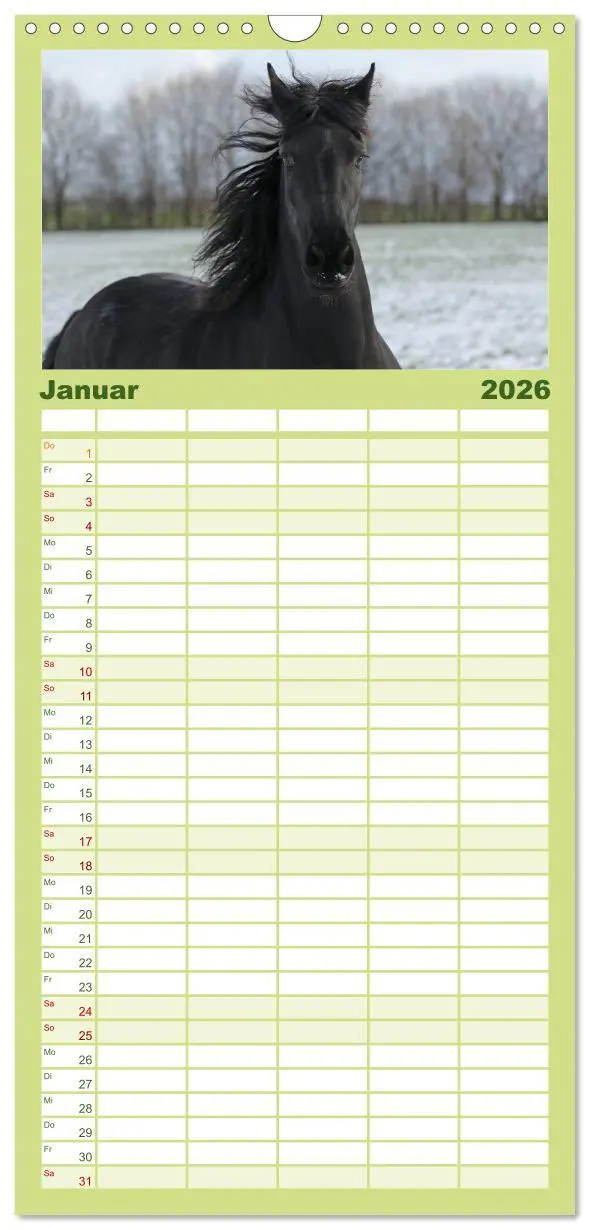 Bild: 9783516515336 | Familienplaner 2026 - Friesen - Schönheit, Kraft und Eleganz mit 5...