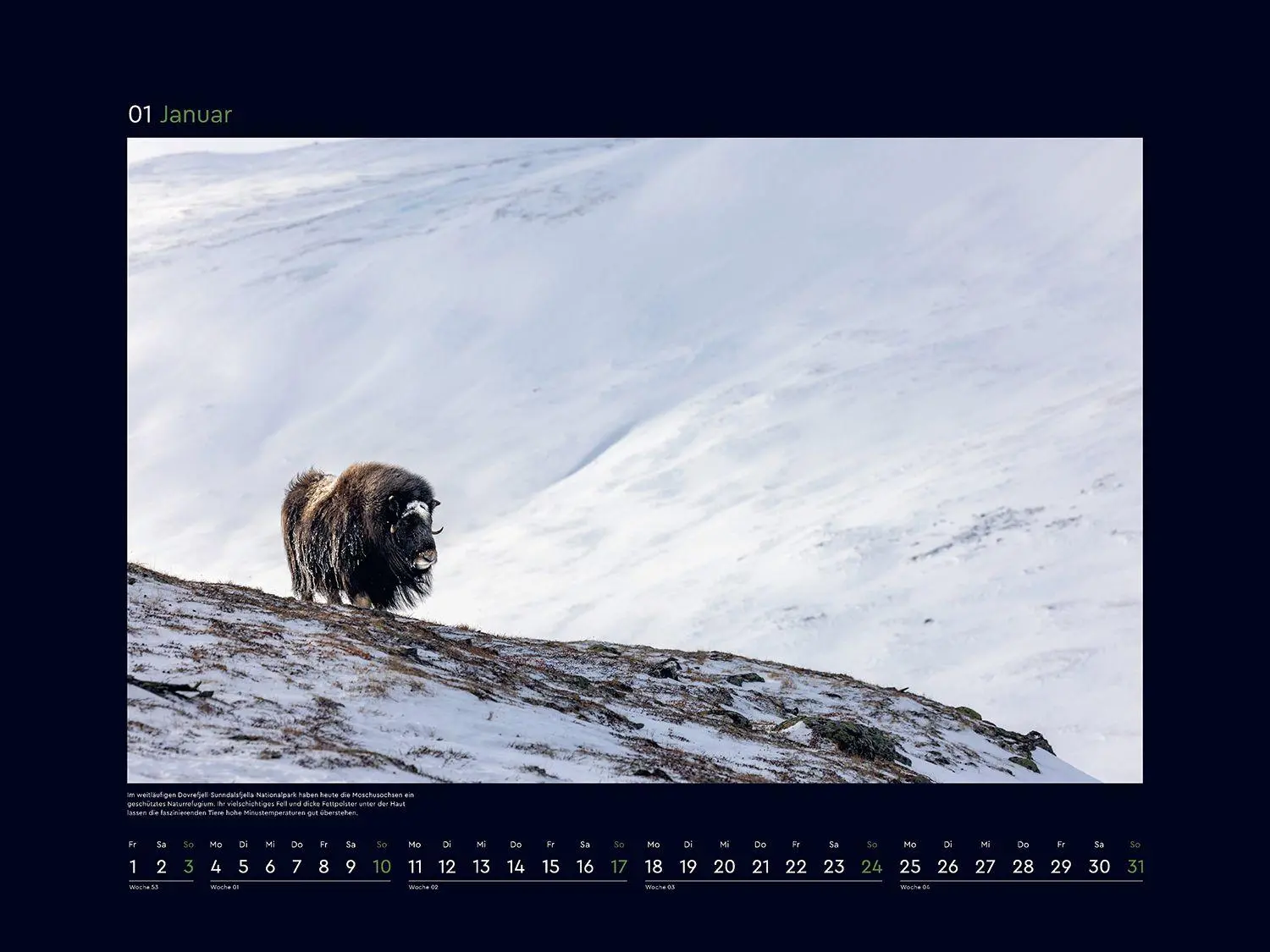Bild: 9783965915336 | Norwegen - KUNTH Wandkalender 2027 | Kalender | 14 S. | Deutsch | 2027