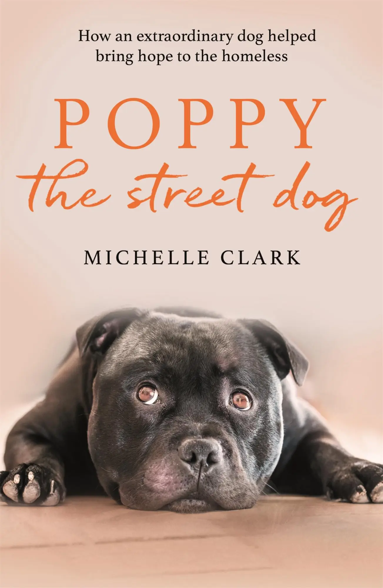 Cover: 9781409195436 | Poppy The Street Dog | Michelle Clark | Taschenbuch | Englisch | 2020