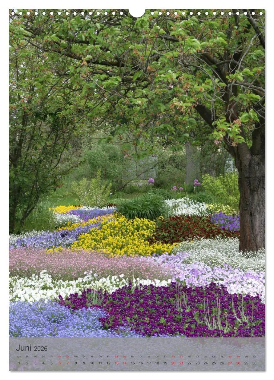 Bild: 9783516365436 | Liebenswertes Mainz (Wandkalender 2026 DIN A3 hoch), CALVENDO...