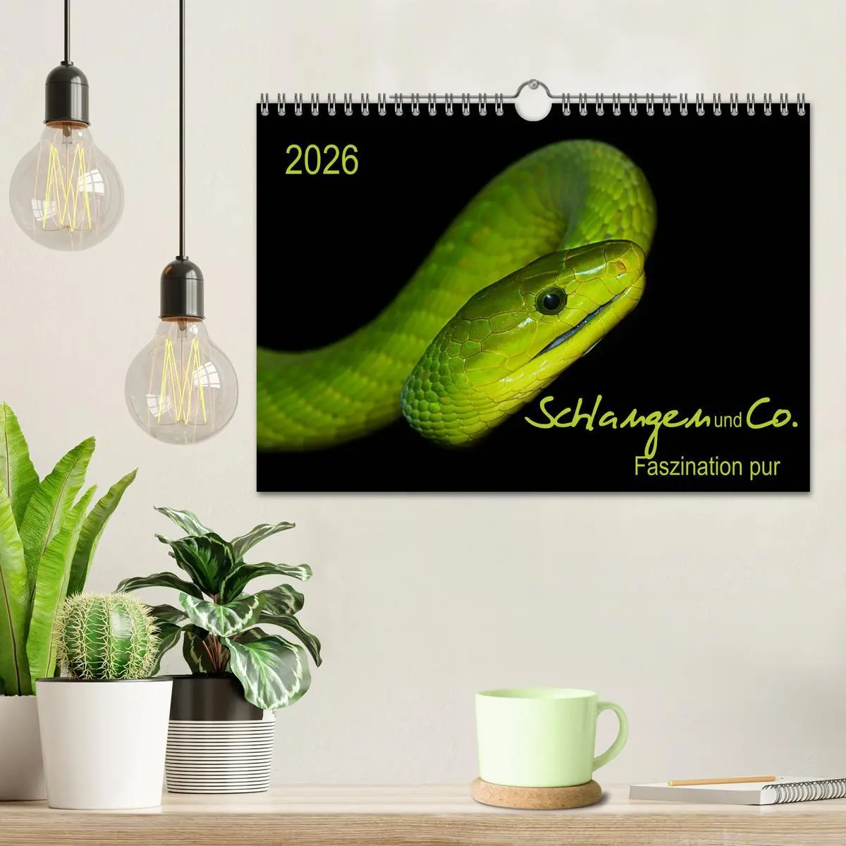 Bild: 9783516035636 | Schlangen und Co. - Faszination pur (Wandkalender 2026 DIN A4...