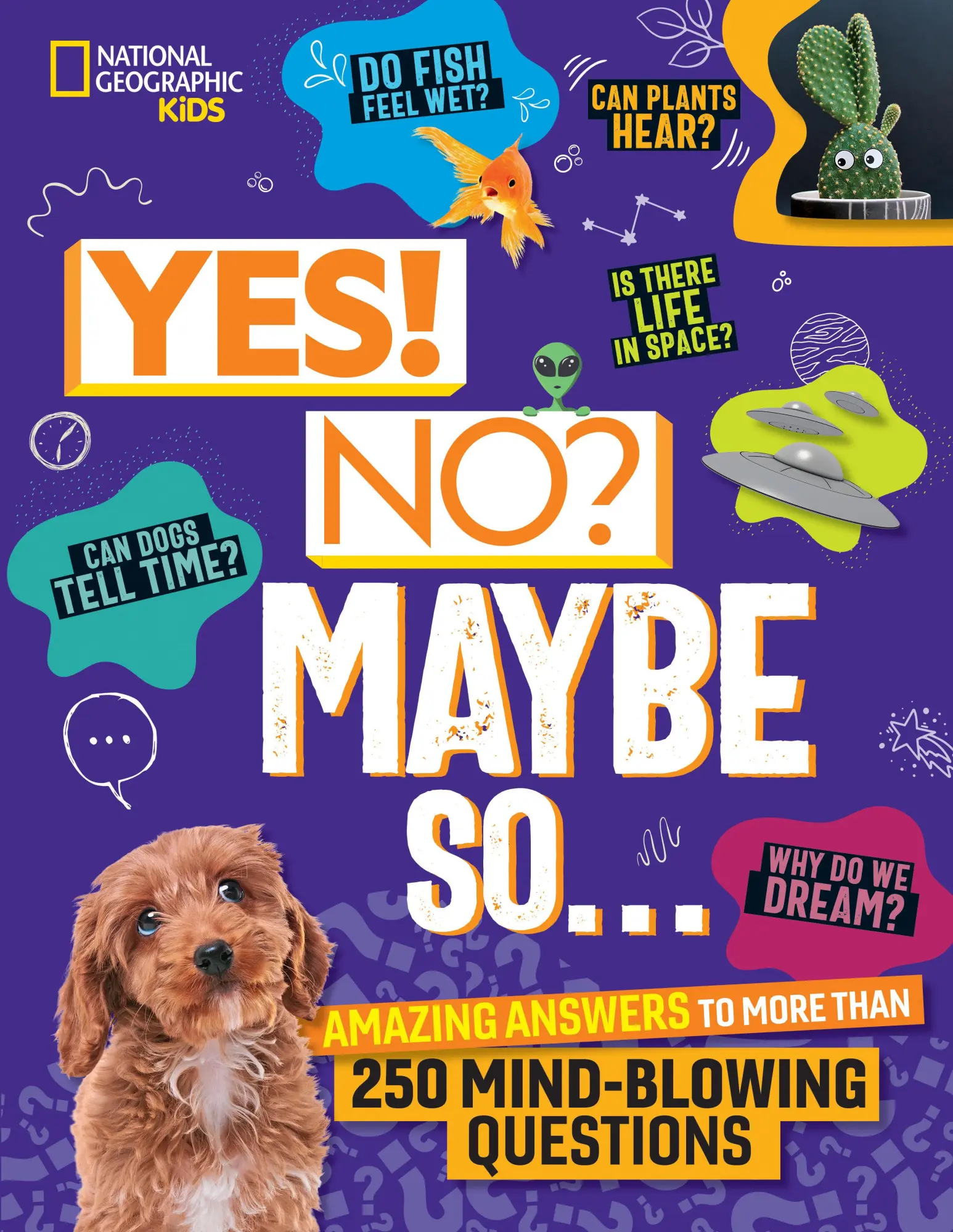 Cover: 9781426375736 | Yes! No? Maybe So... | Julie Beer (u. a.) | Buch | Englisch | 2024