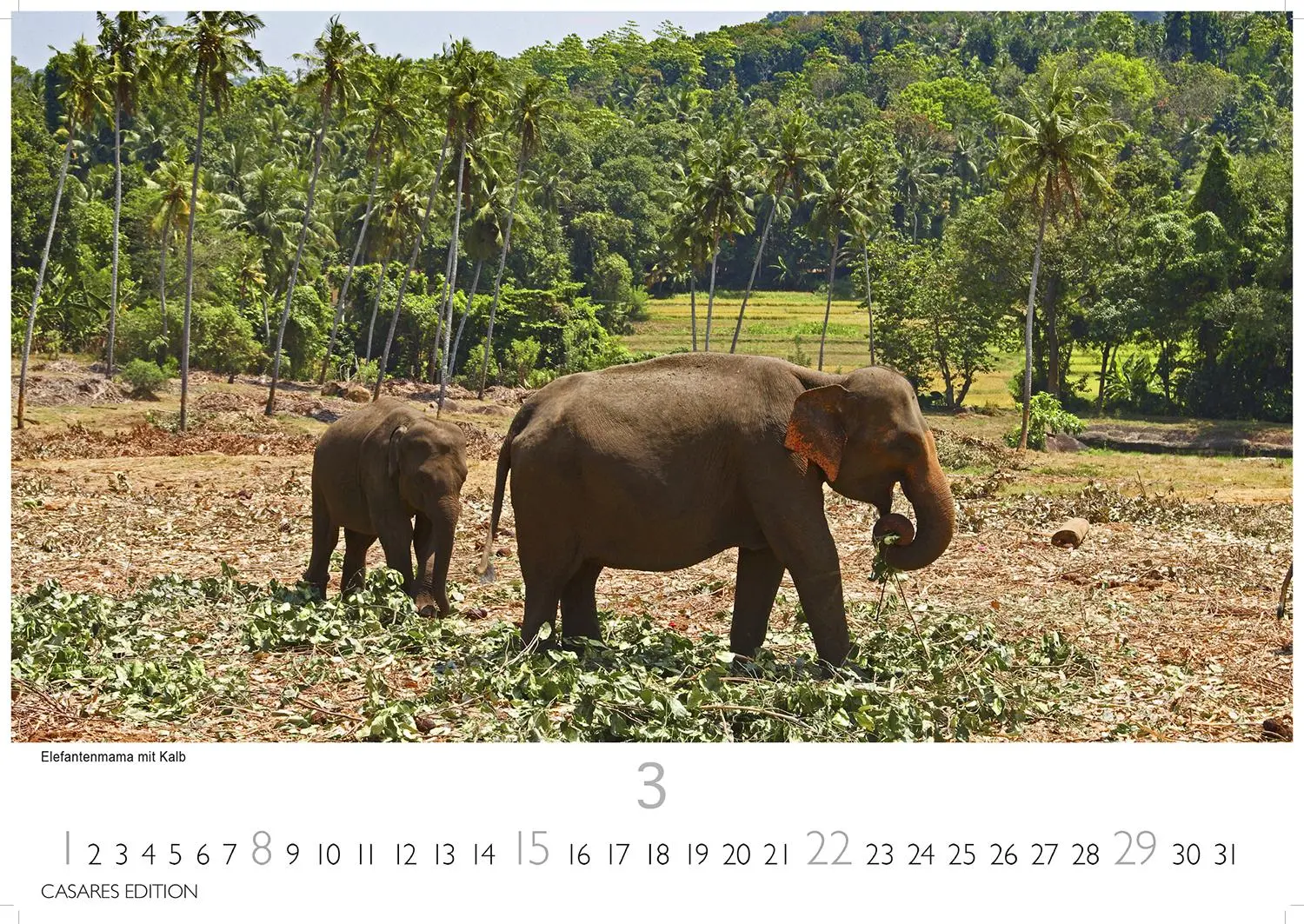 Bild: 9781835245736 | Sri Lanka 2026 S 24x35cm | Kalender | 14 S. | Deutsch | 2026
