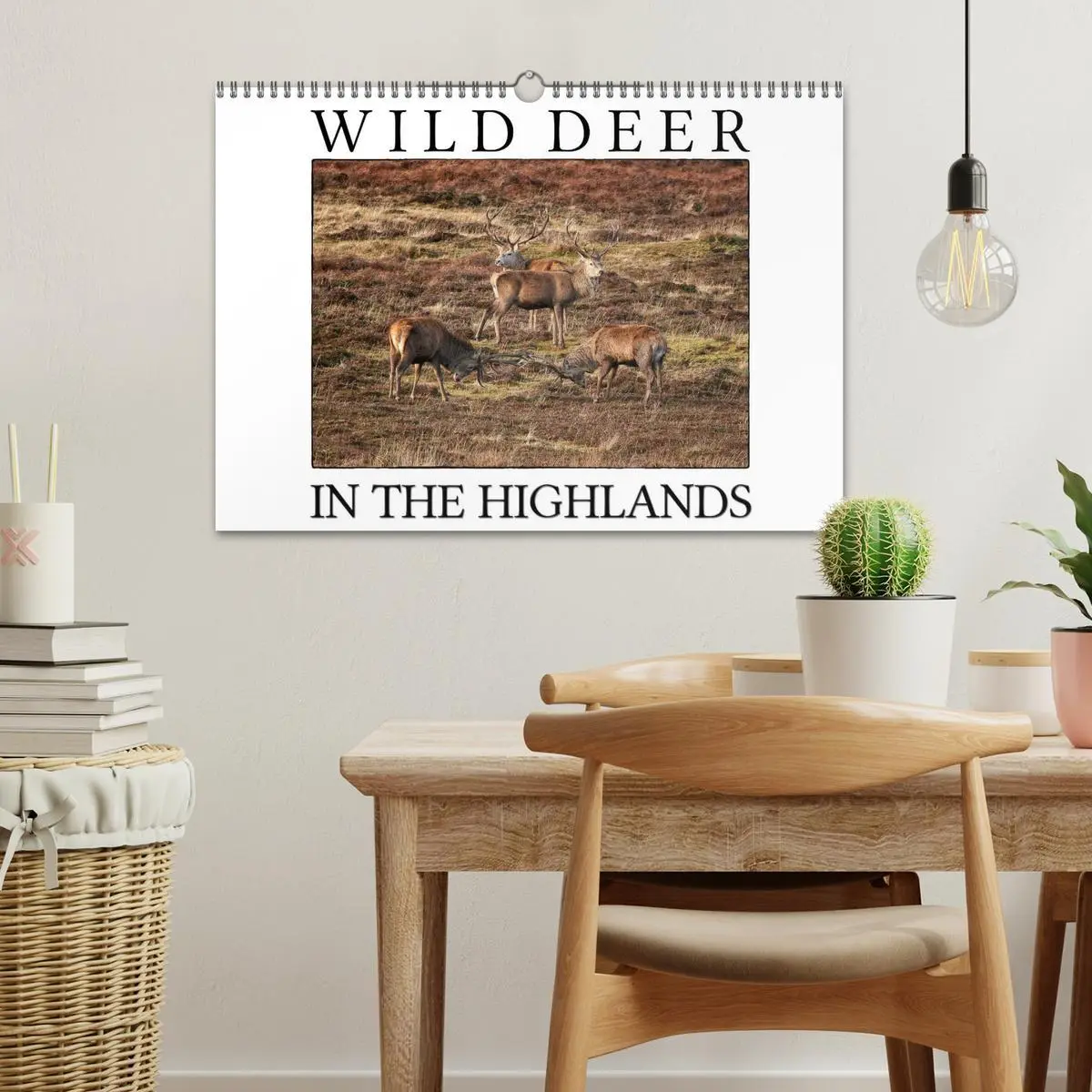 Bild: 9783516575736 | Wild Deer In The Highlands (Wall Calendar 2026 DIN A3 landscape),...