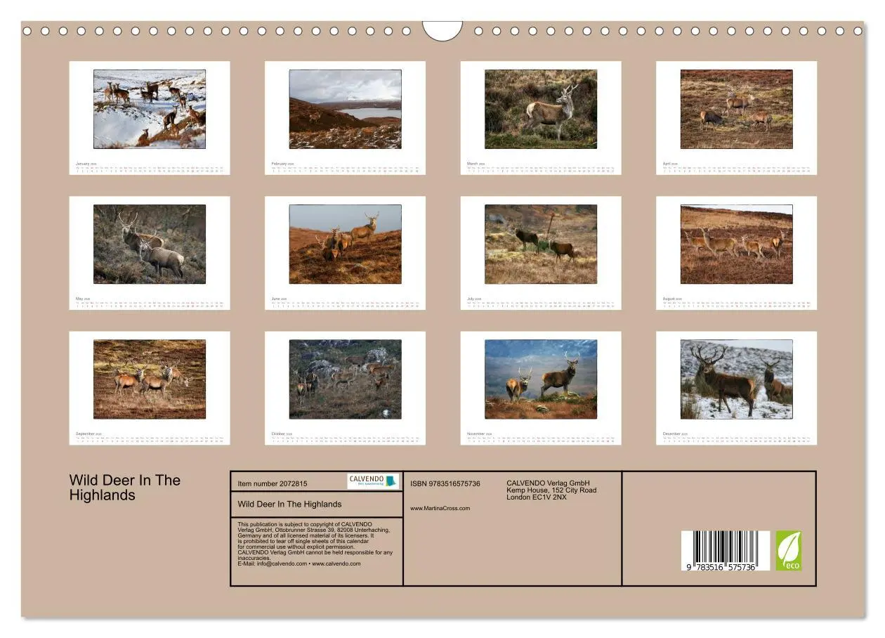 Bild: 9783516575736 | Wild Deer In The Highlands (Wall Calendar 2026 DIN A3 landscape),...