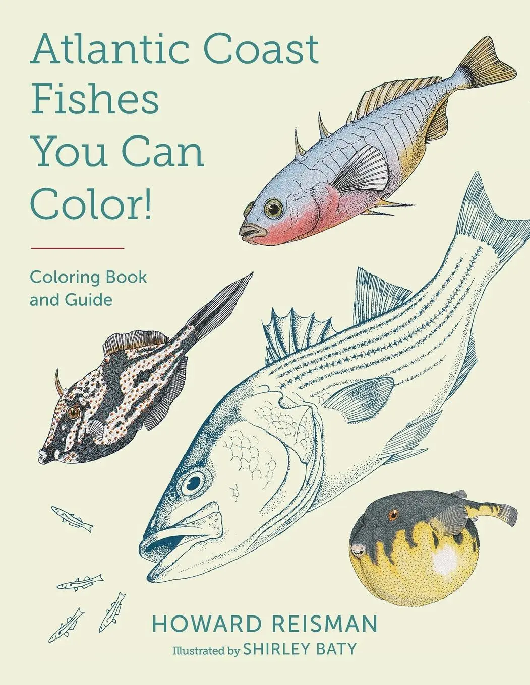 Cover: 9781493065936 | Atlantic Coast Fishes You Can Color! | Coloring Book and Guide | Buch