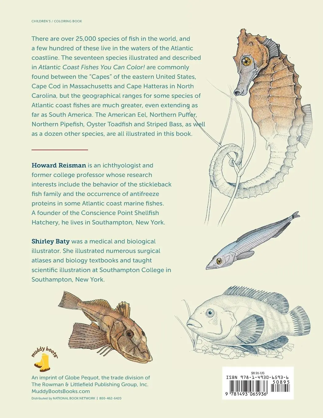 Rückseite: 9781493065936 | Atlantic Coast Fishes You Can Color! | Coloring Book and Guide | Buch