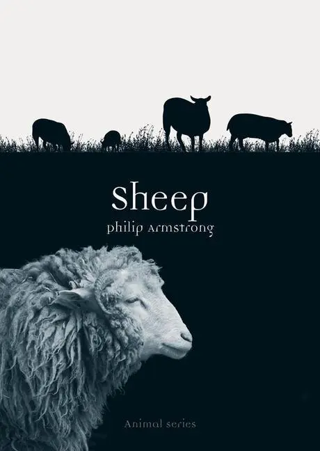 Cover: 9781780235936 | Sheep | Philip Armstrong | Taschenbuch | Kartoniert / Broschiert