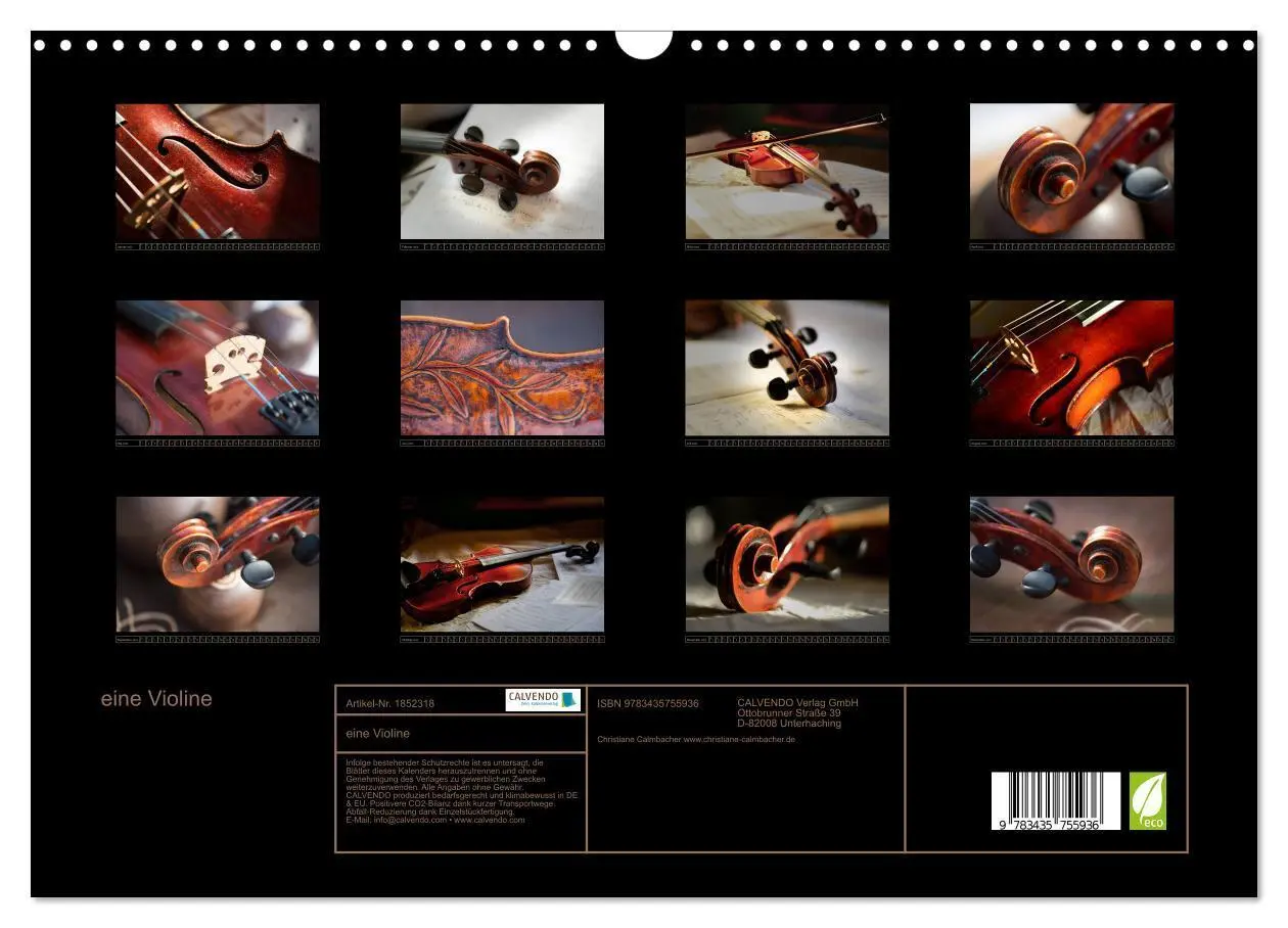 Bild: 9783435755936 | eine Violine (Wandkalender 2025 DIN A3 quer), CALVENDO Monatskalender