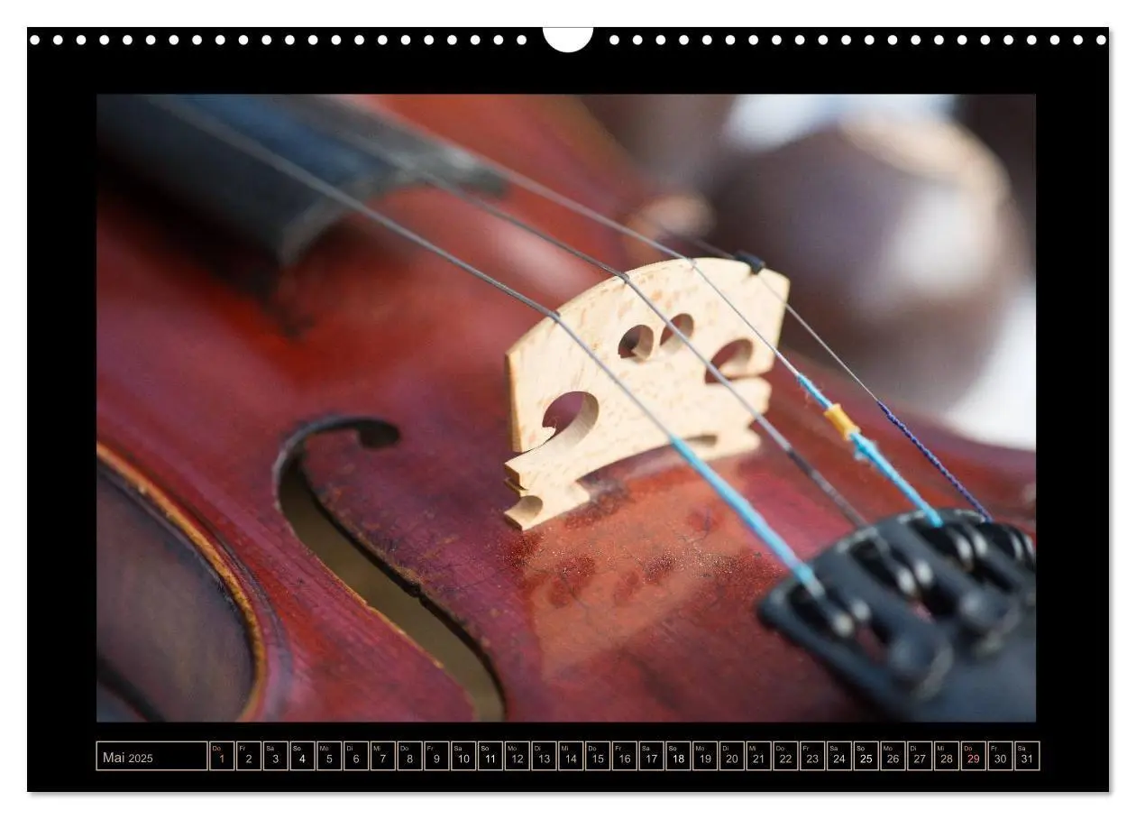 Bild: 9783435755936 | eine Violine (Wandkalender 2025 DIN A3 quer), CALVENDO Monatskalender