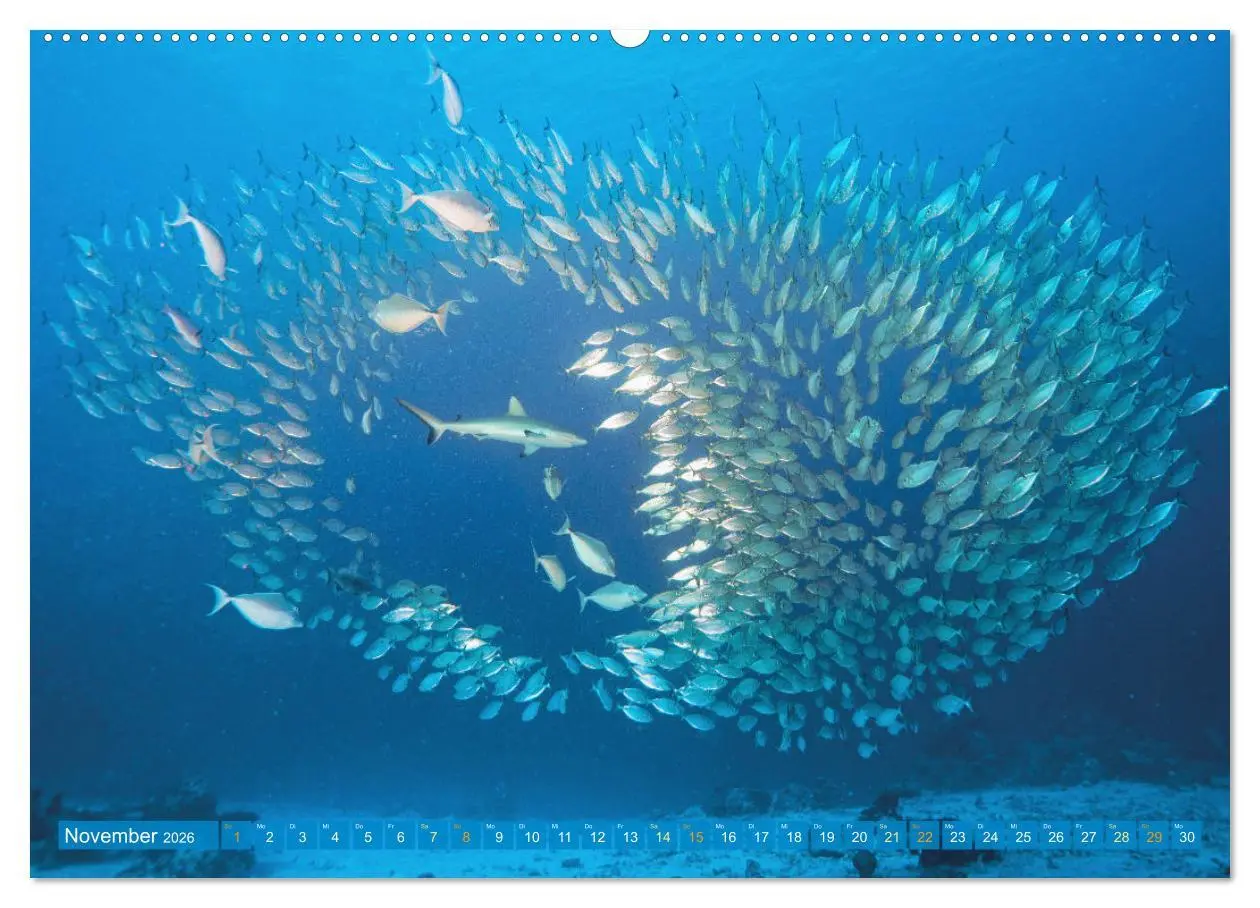 Bild: 9783457465936 | Planet Wasser: Von wegen Planet Erde (hochwertiger Premium...