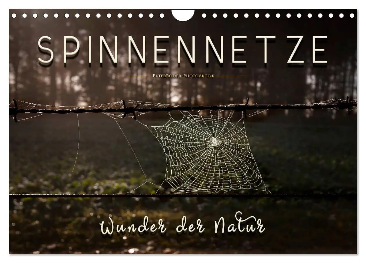Cover: 9783457845936 | Spinnennetze - Wunder der Natur (Wandkalender 2026 DIN A4 quer),...