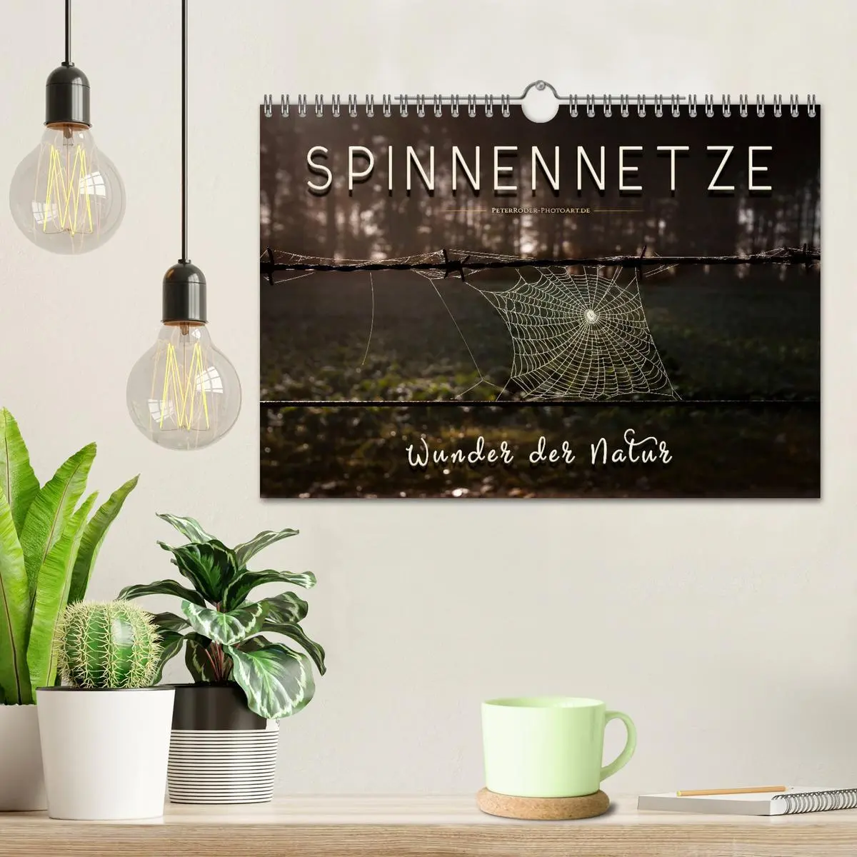 Bild: 9783457845936 | Spinnennetze - Wunder der Natur (Wandkalender 2026 DIN A4 quer),...