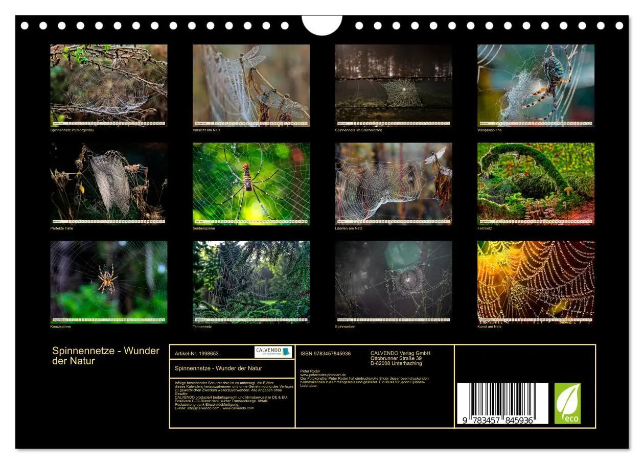 Bild: 9783457845936 | Spinnennetze - Wunder der Natur (Wandkalender 2026 DIN A4 quer),...