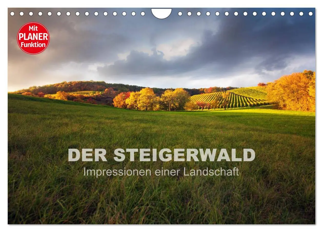 Cover: 9783516005936 | DER STEIGERWALD - Impressionen einer Landschaft (Wandkalender 2026...