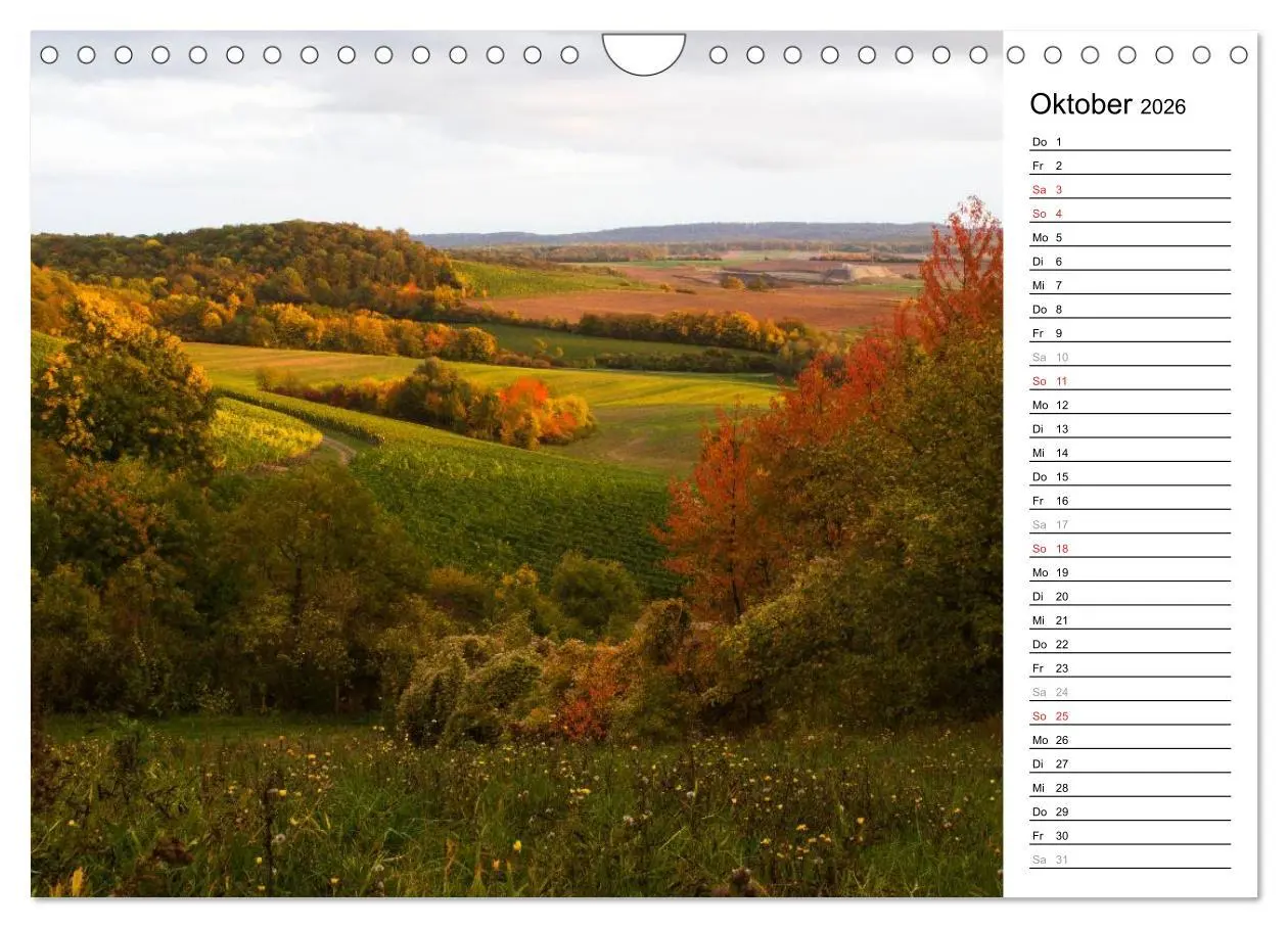 Bild: 9783516005936 | DER STEIGERWALD - Impressionen einer Landschaft (Wandkalender 2026...
