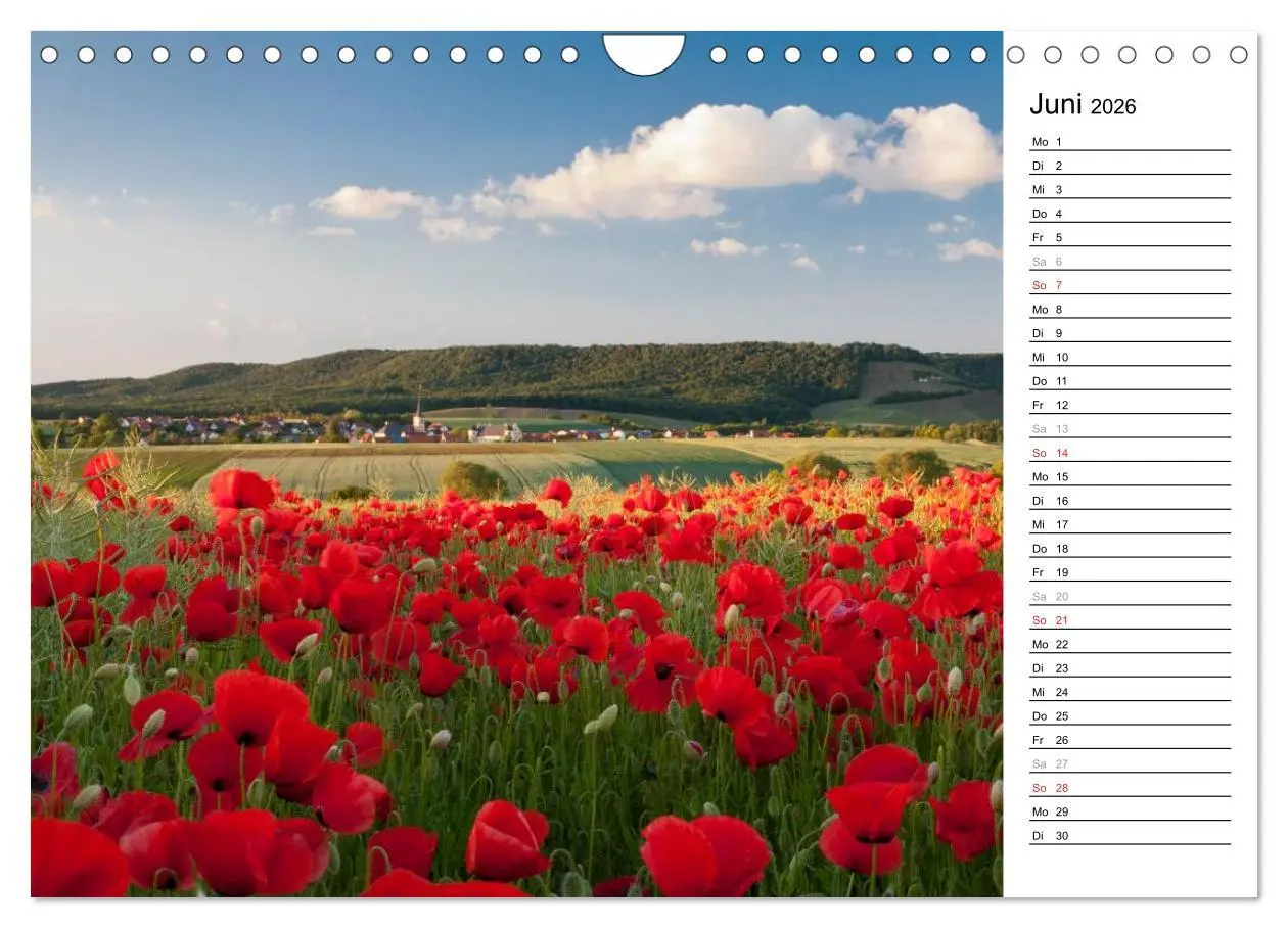 Bild: 9783516005936 | DER STEIGERWALD - Impressionen einer Landschaft (Wandkalender 2026...