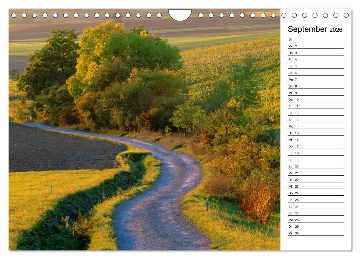 Bild: 9783516005936 | DER STEIGERWALD - Impressionen einer Landschaft (Wandkalender 2026...