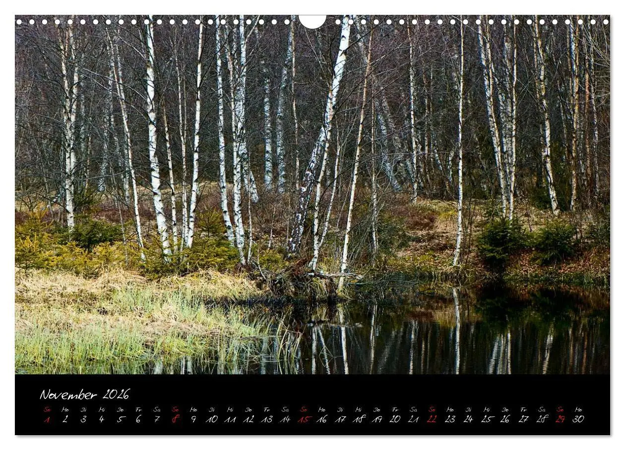 Bild: 9783516175936 | RHÖN = SCHÖN (Wandkalender 2026 DIN A3 quer), CALVENDO Monatskalender