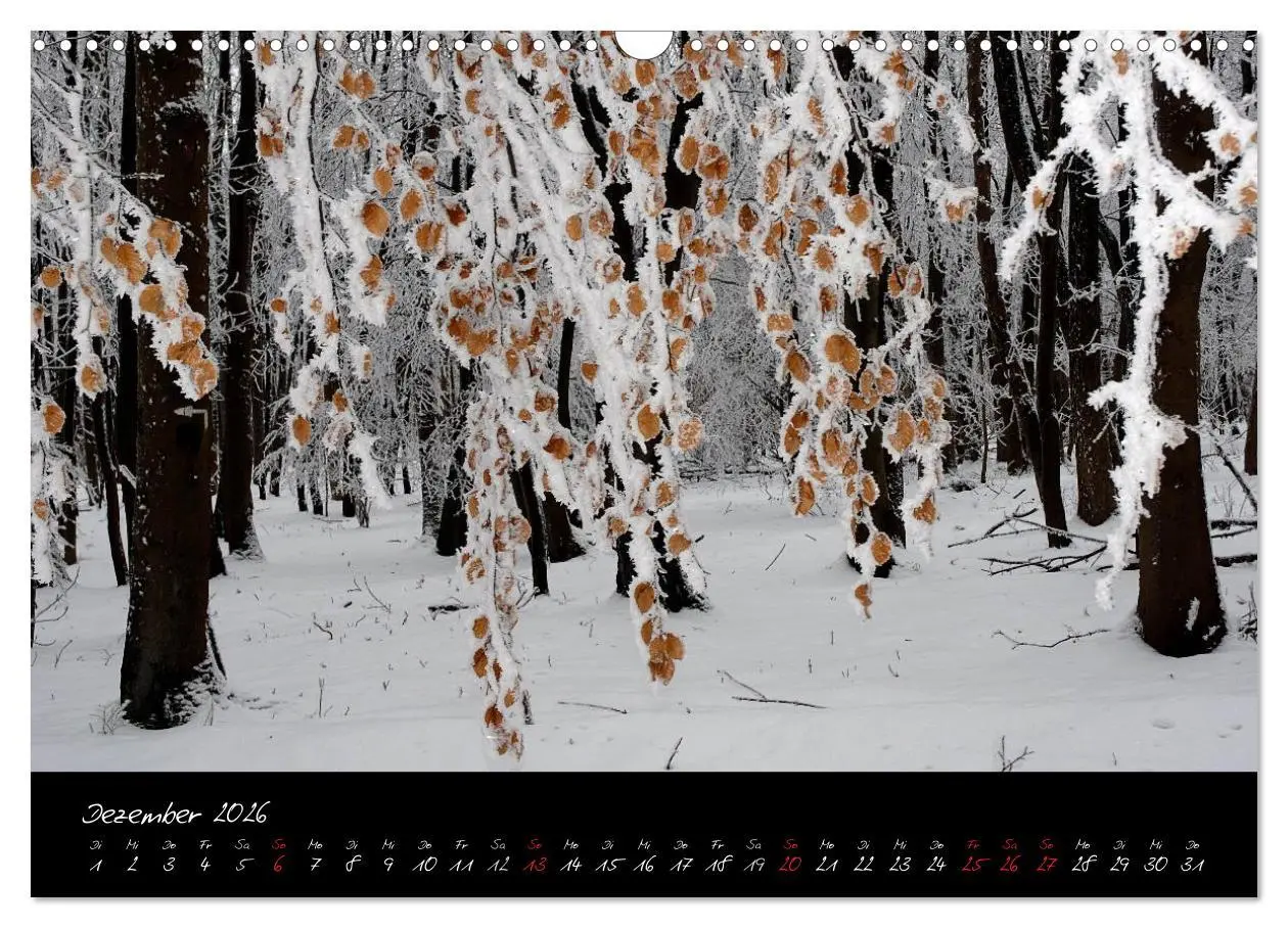 Bild: 9783516175936 | RHÖN = SCHÖN (Wandkalender 2026 DIN A3 quer), CALVENDO Monatskalender