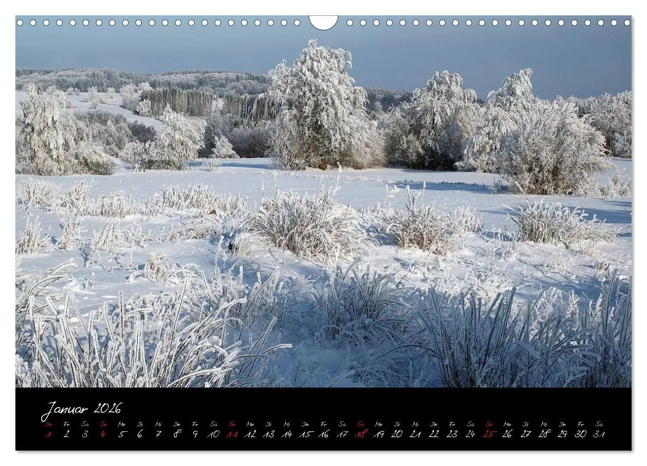 Bild: 9783516175936 | RHÖN = SCHÖN (Wandkalender 2026 DIN A3 quer), CALVENDO Monatskalender